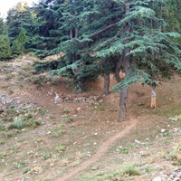 Karamehmet Pınarı