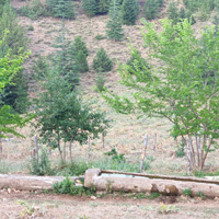 Karamehmet Pınarı